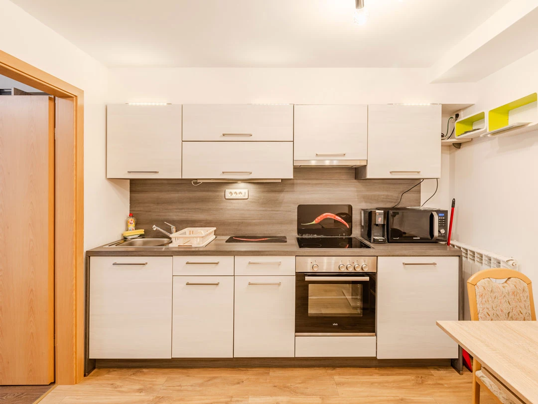 kitchen - apartment ančka