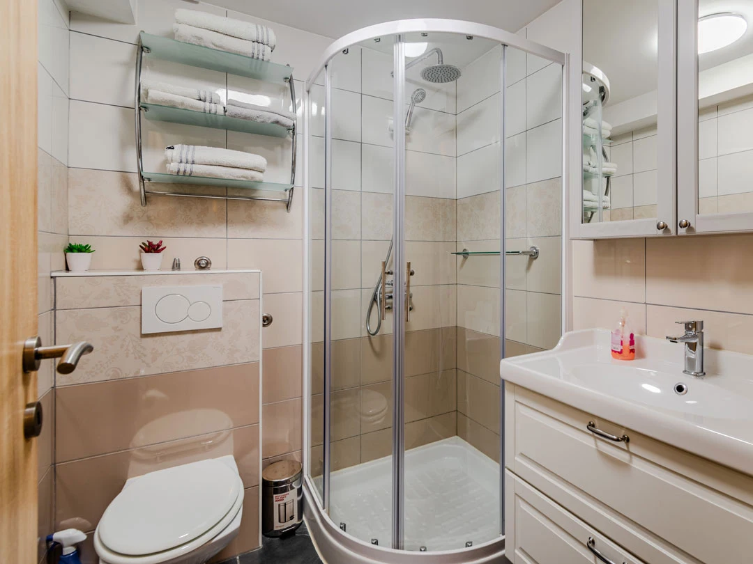 shower and bathroom - apartment lev